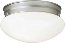 Forte Lighting 6002-01 Functional Flushmount ...