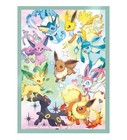 🌟Premium Evolutions Prismatiques Evolitions 65 Sleeves Pokémon Protège Carte