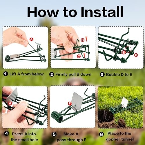 10 Pack Gopher Traps - Reusable Metal Gopher Trap, Easy Set Weather ...