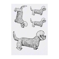4 x 'Dandie Dinmont Terrier' Temporary Tattoos / Transfers TO00052311 