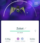 Pokémon Shiny Zubat wearing a top hat - Read description