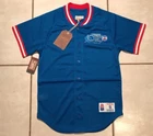 NWT MITCHELL & NESS Virginia Squires ABA Buttoned Pro Mesh Jersey Men’s Small