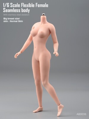 1/6 Female Mid Bust Flexible Normal Skin Seamless Body For 12