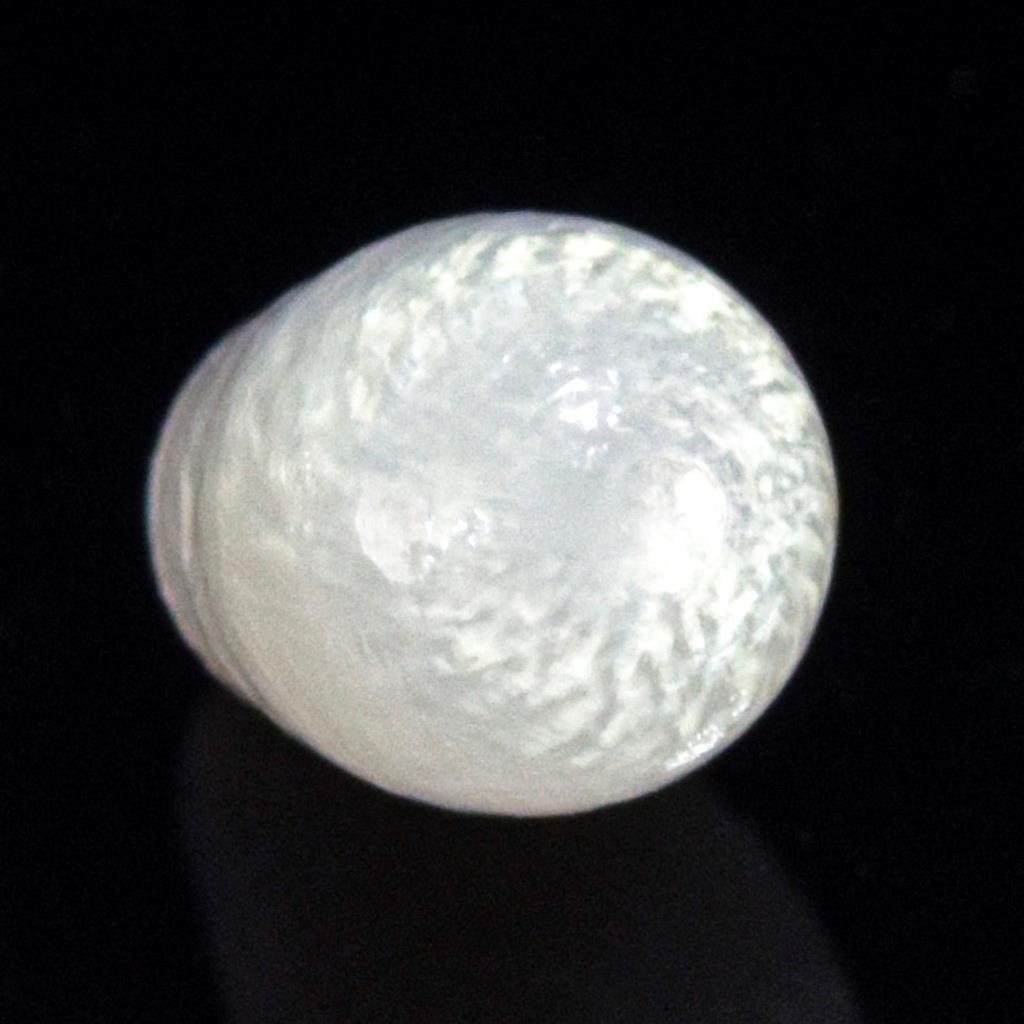 1.05 cts Genuine Natural Wild Tridacna Clam Pearl 6.67 mm