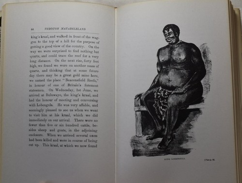 THROUGH MATABELELAND 10 Months in a OX-WAGGON Rhodesia in 1887 Lobengula Gold - Picture 4 of 5