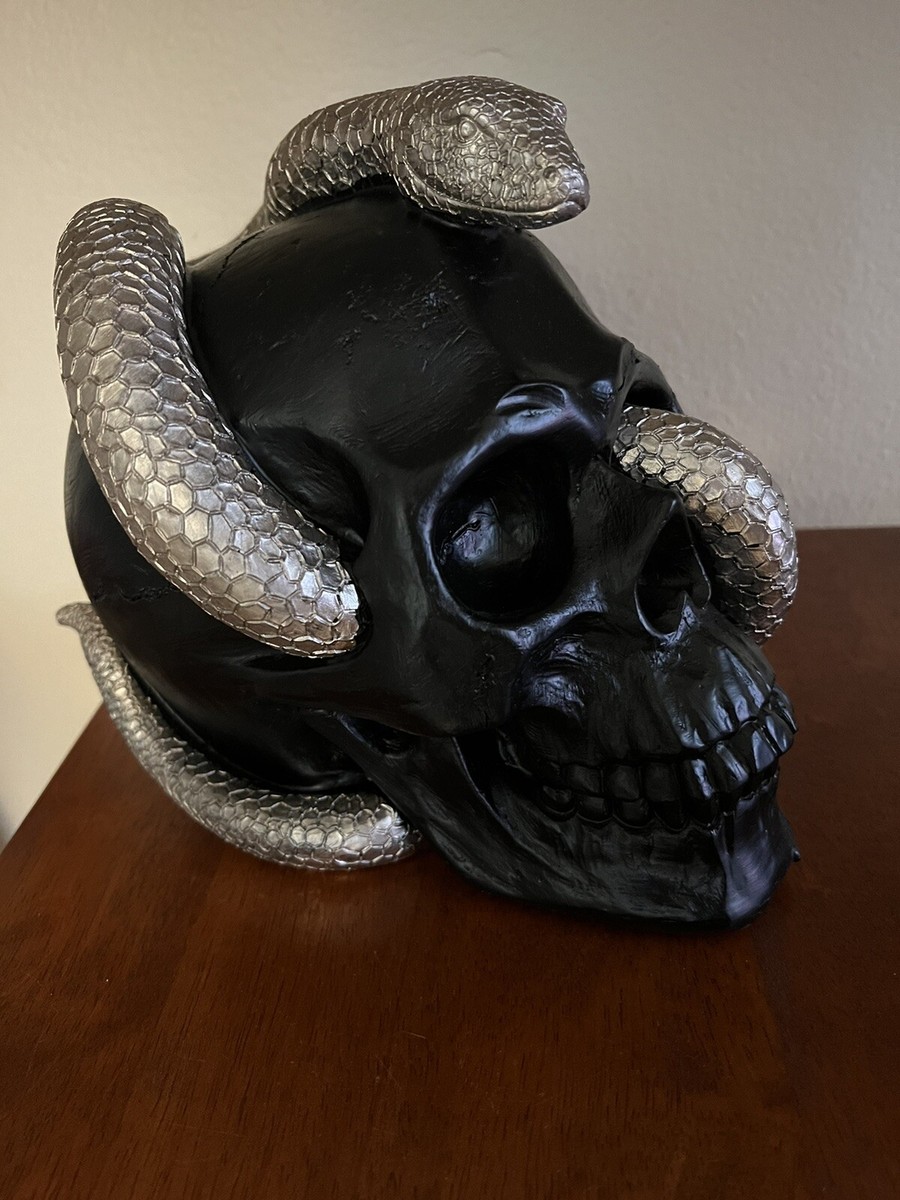 Black Skull With Snake in Eye Socket Halloween Gothic Black Skull With Snake in Eye Socket Halloween Gothic