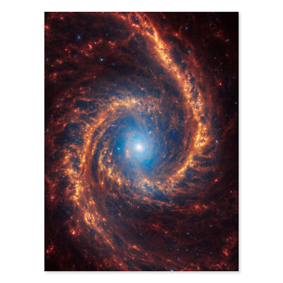 NASA James Webb Teleskop Ansicht der Spiralgalaxie NGC 1566 Wandkunstdruck 18 x 24 Zoll