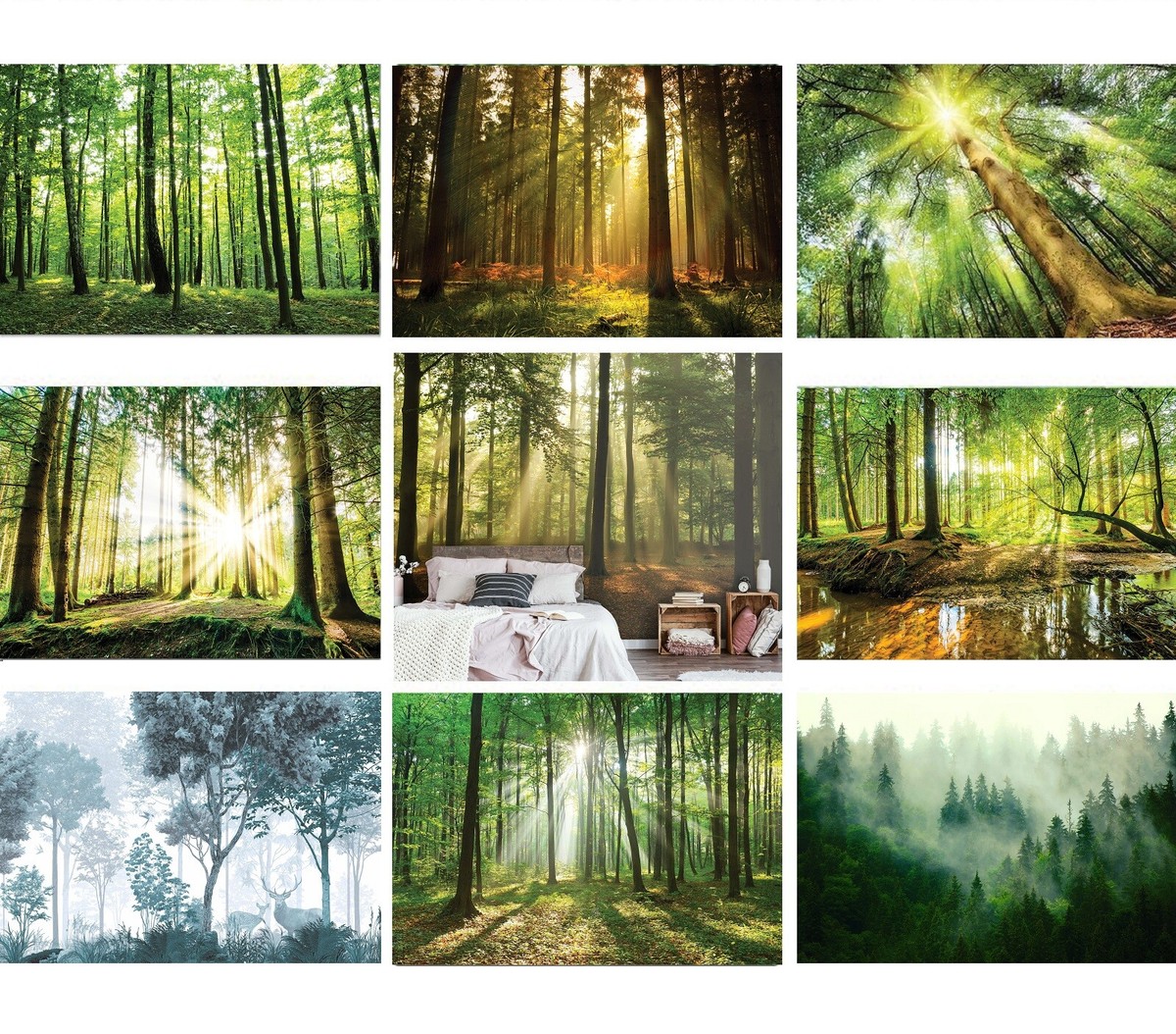 Wallpaper Mural Foggy Forest Peel And Stick Wallpaper - Green Landscape ...