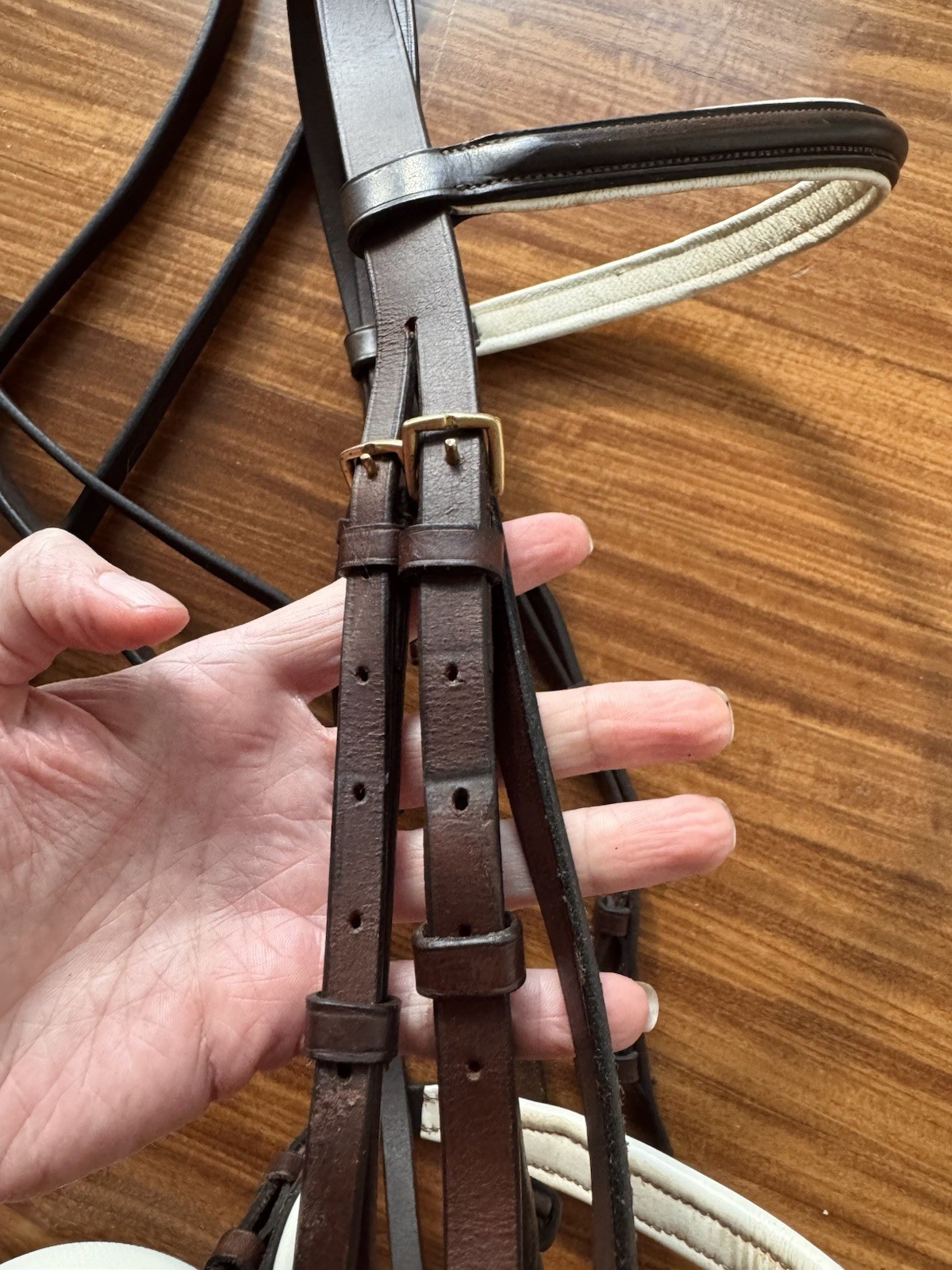 Brown And White Xtra Full Dressage Bridle With Brass & Bobby’s Plain Reins