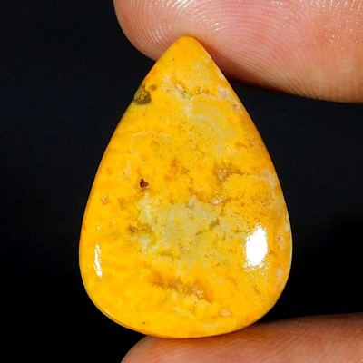 15,00Cts. 100 % natürlicher Hummel Jaspis Birne Cabochon lose Edelstein