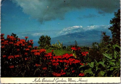 Kula Botanical Gardens Maui Hawaii Flower Garden View Continental Postcard A005