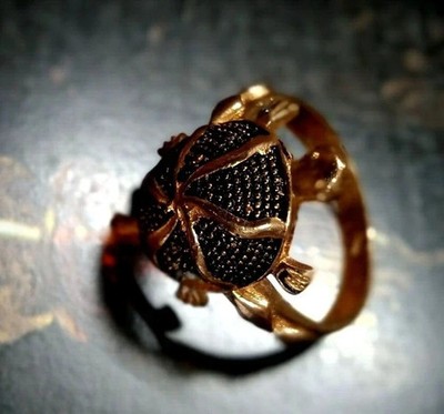 World's Most Powerful Ring Blessed By LORD KUBER Ring (Wealth, Luck Attraction)