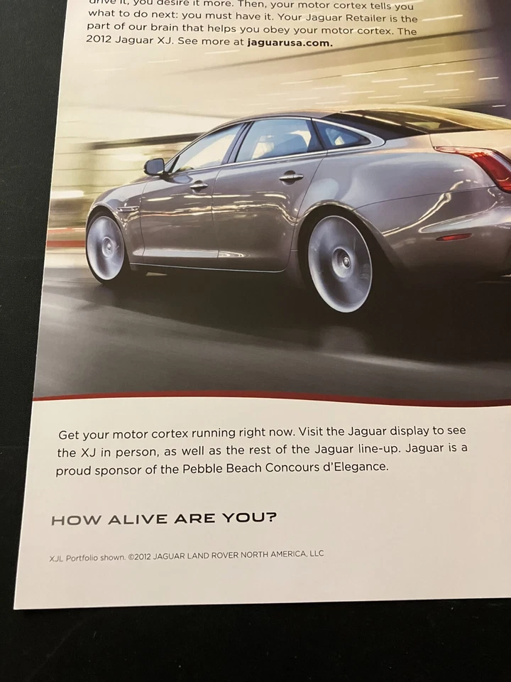 Silver 2013 Jaguar XJL Portfolio - Original Color Print Ad / Wall Art - MINT - Image 4 of 4