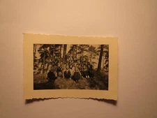 Group of Kids - Girls in Forest - Braids / Photo
