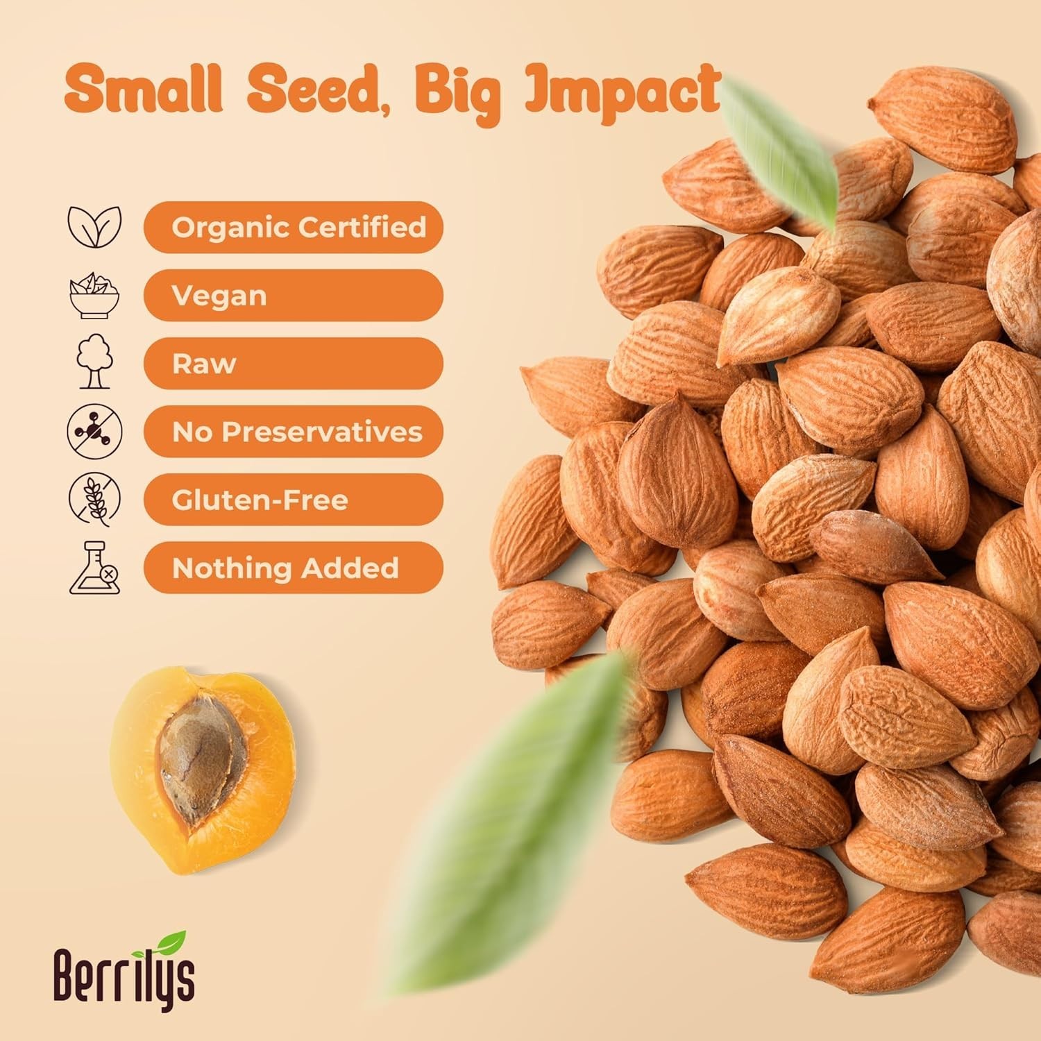 Organic Bitter Apricot Seeds - 10 oz Pack, Freshly Sourced & Nutrient-Rich