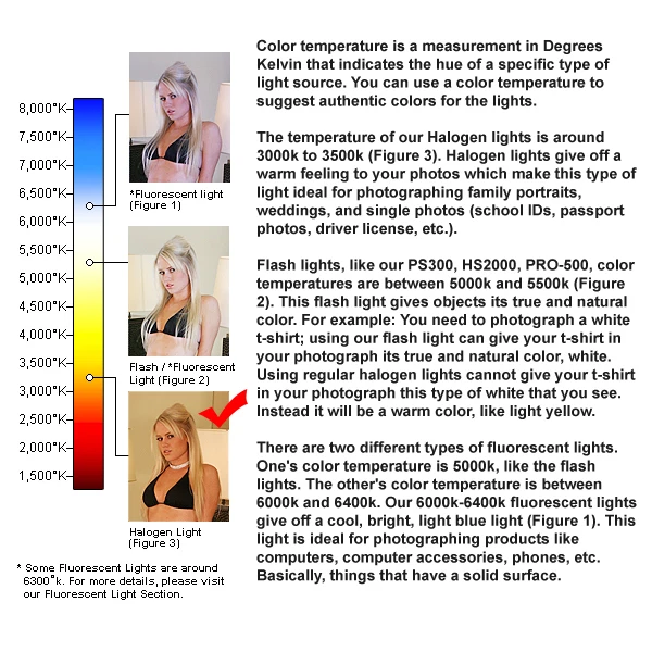 Britek Photo Studio Tungsten Video Film Continuous Lighting Spot Light CK407 - Image 3 of 4