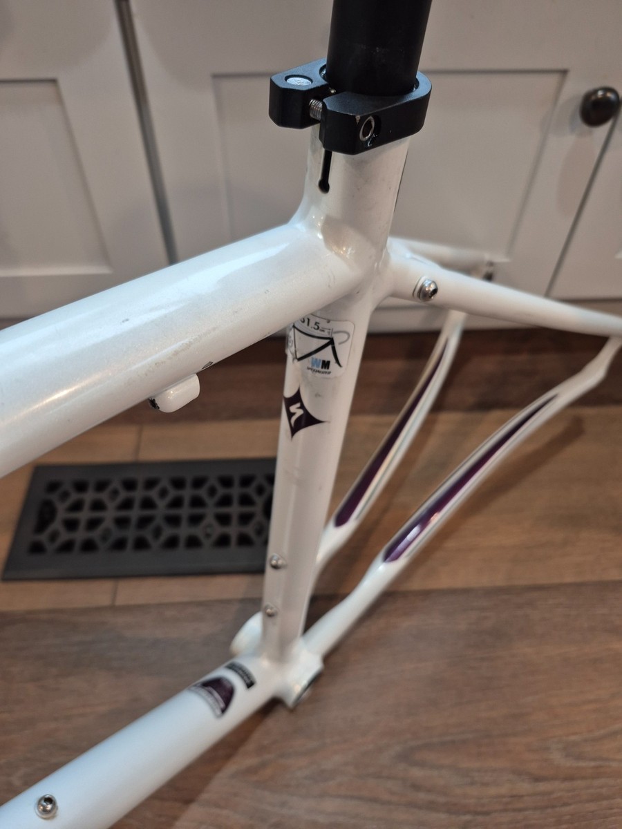Specialized Dolce Sport Road Frame Set with Carbon Fiber Fork 51
