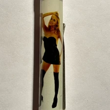 Female Model Stripper Floaty Pen Pinup Woman Girl Naked Nude Nudie Tip Strip