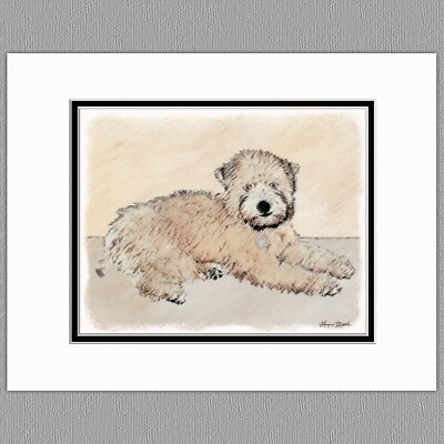Soft Coated Wheaten Terrier Dog Puppy Original Print 8x10 Matted to 11x14