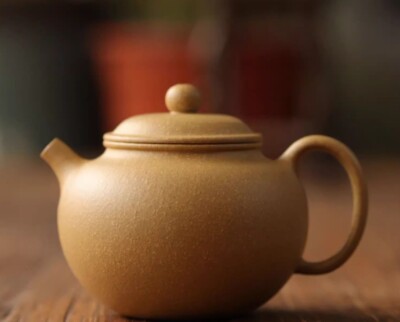 180cc chinese Yixing Handmade Zisha teapot Duan Clay ManYuan Hu Gongfu Tea Pot