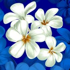 Bild 172 von 346