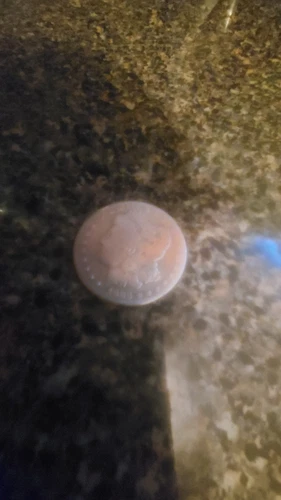 VG/F 1883-S Morgan Silver Dollar (1 coin)