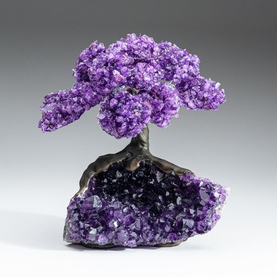 Amethyst Clustered Gemstone Tree on Amethyst Matrix (The Protection Tree) 7''