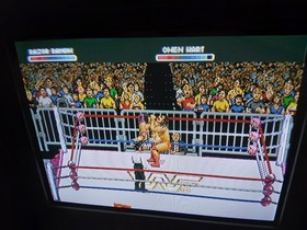 WWF RAW Sega 32x  CIB With MANUAL Authentic Tested And Working