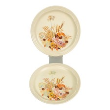 Poole Pottery Summer Glory Collection Dinner Plates 22cm - Vintage 80s