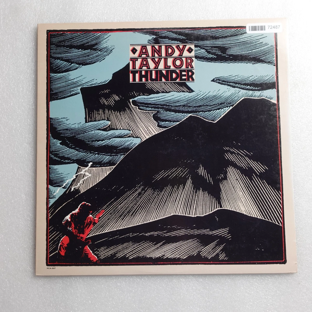 andy taylor thunder products for sale | eBay