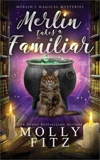Merlin Takes a Familiar (Paperback or Softback)