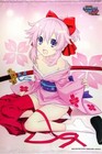 [Tapestry Wall scroll] Neptune VS Sega Hard Girls B2 size Limited Japan