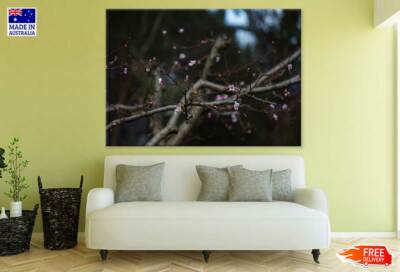 Cherry Blossom Flower Tree Branch Wall Canvas Home Decor Australian ...