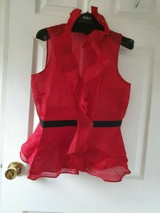 coast ruffle organza top