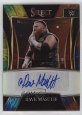 2022 Select WWE Signature Selections Tie-Dye Prizm 19/25 Dave Mastiff Auto f3p