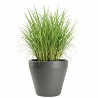 Howhomely ÜBertopf Pflanzgefäß Blumentopf BlumenküBel Grau Pflanztopf H35Xb40Cm