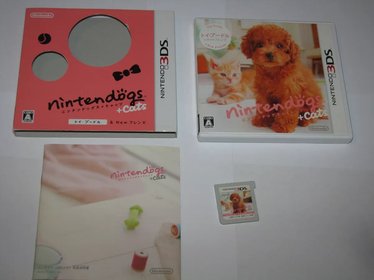 Japanese red toy clearance poodle
