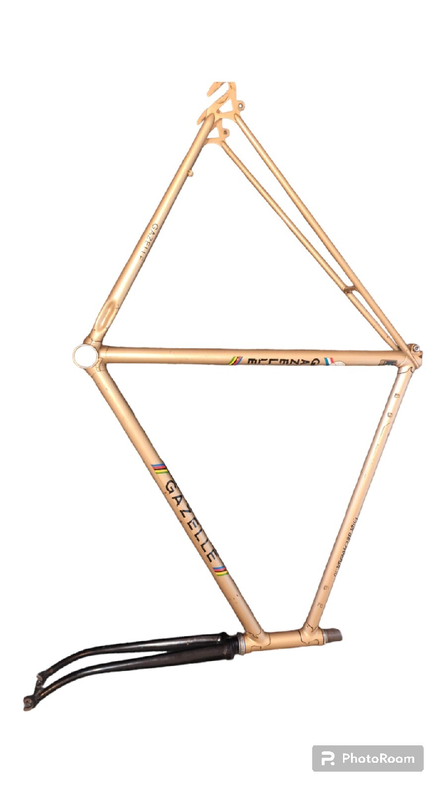 Gazelle 531 vintage Bicycle Frame eBay