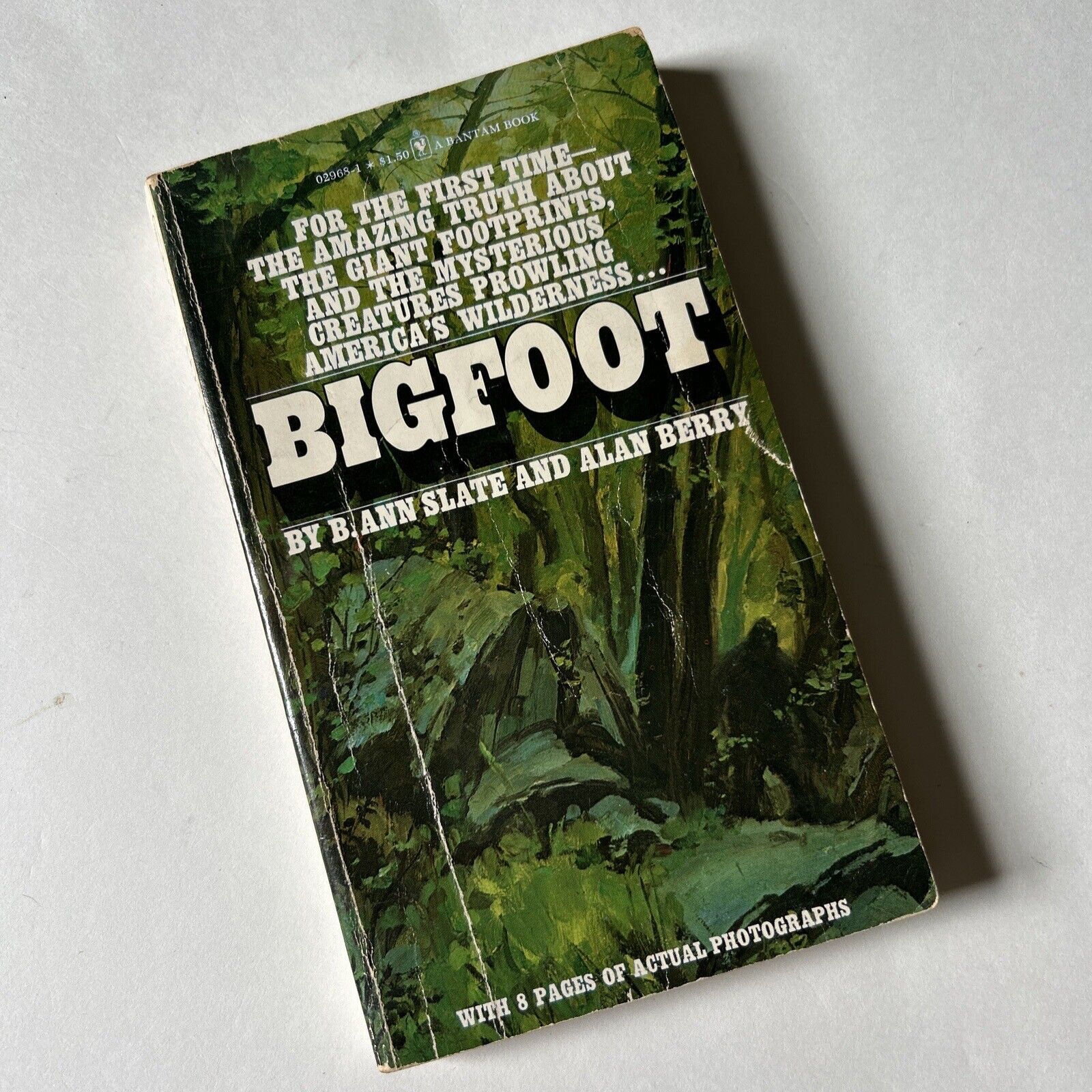 Buy Finding Bigfoot CD Key Compare Prices