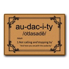 Funny Welcome Doormat Non-Slip Indoor/Outdoor Audacious Greeting 24"x16"