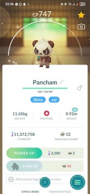 Shiny Pancham ( XXL ) Pokemon Trade  Go Ultra Friend / Registered - Description