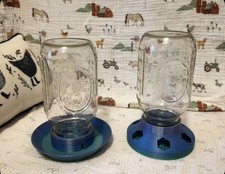 Colorful Mason Jar Chick Feeder / Waterer Combo