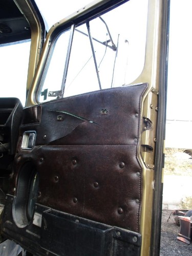 For 1995 WESTERN STAR 4900 DOOR ASSEMBLY Right , OR