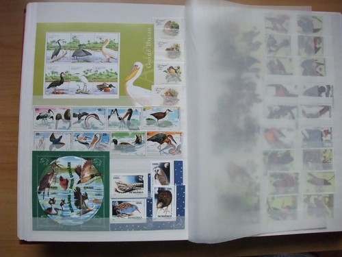 Sammlung Vögel (ohne Album)