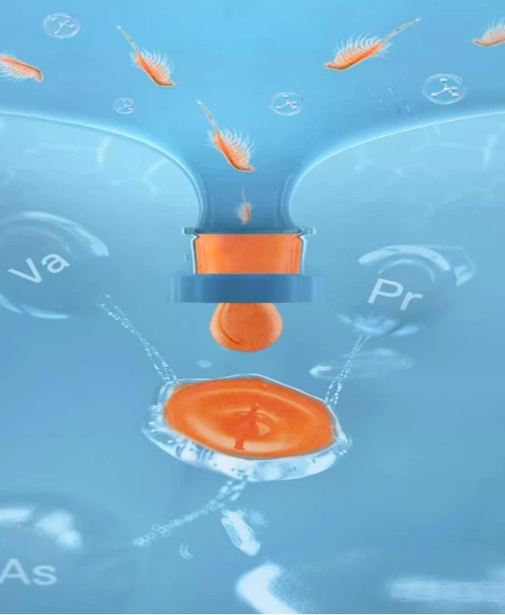 Alimento instantáneo para peces - Camarones en salmuera bebé no vivos para alevines, corales e invertebrados Foto 4 de 4