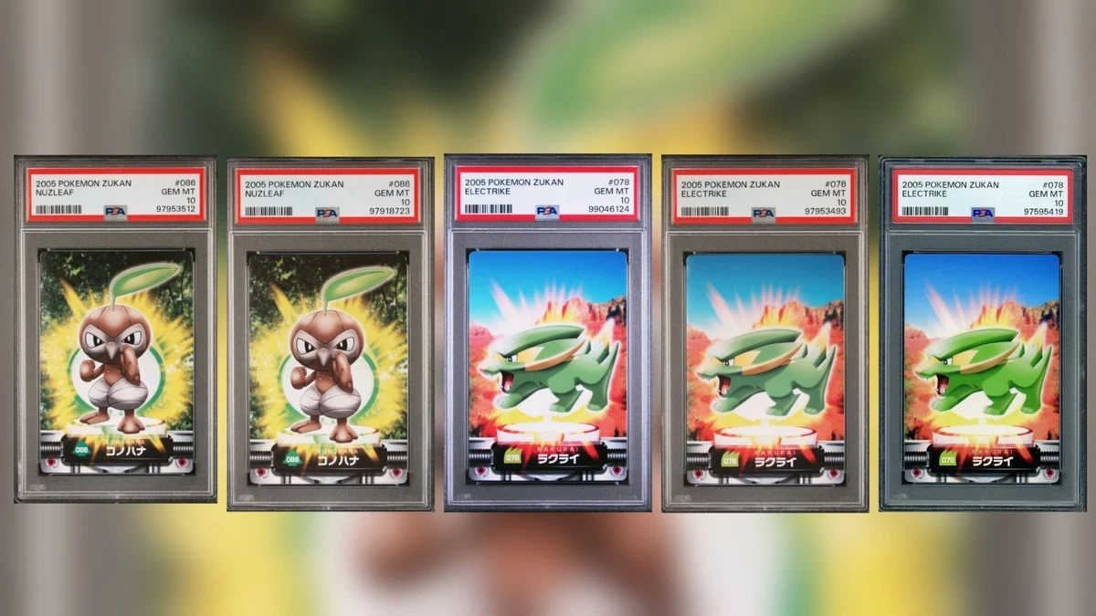 Gem Mint 10 In Pokémon Individual Trading Cards for sale | eBay