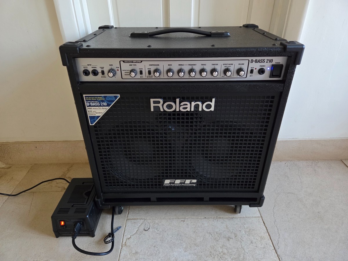 Roland D-BASS 115 ベースアンプ 【公式通販】