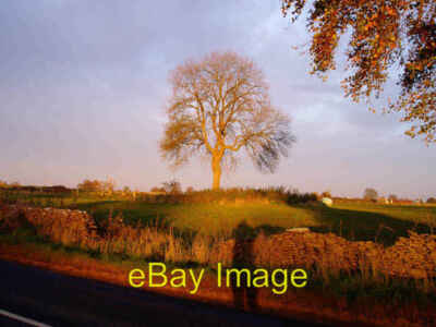 Photo 6x4 Tree at Crackstone Bubblewell A lone tree among pastoral fields c2006