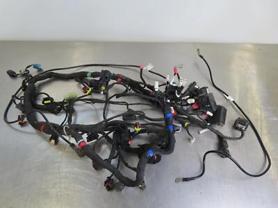 EB1410 2024 24 DUCATI HYPERMOTARD 698 MONO RVE MAIN WIRING HARNESS