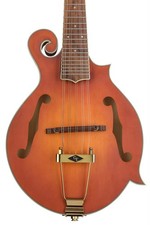 Gold Tone F-10 10-string F-Style Acoustic-electric Mandolin